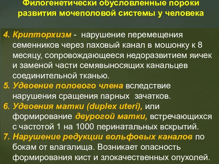 Филогенетически обусловленные пороки развития мочеполовой системы у человека 4. Крипторхизм -