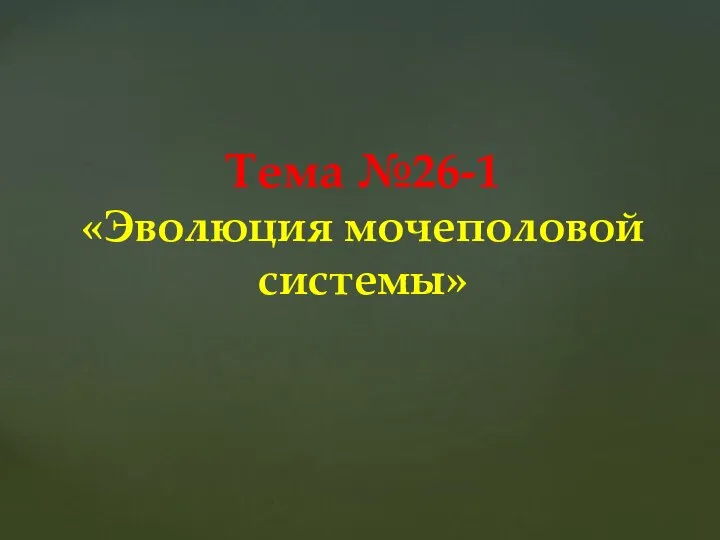 Тема №26-1 «Эволюция мочеполовой системы»