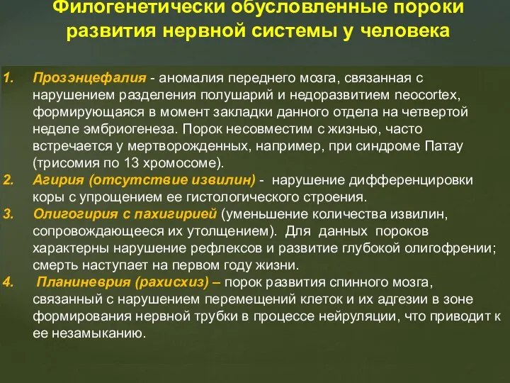 Филогенетически обусловленные пороки развития нервной системы у человека Прозэнцефалия - аномалия