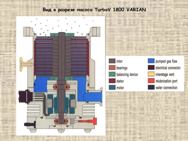 Вид в разрезе насоса TurboV 1800 VARIAN