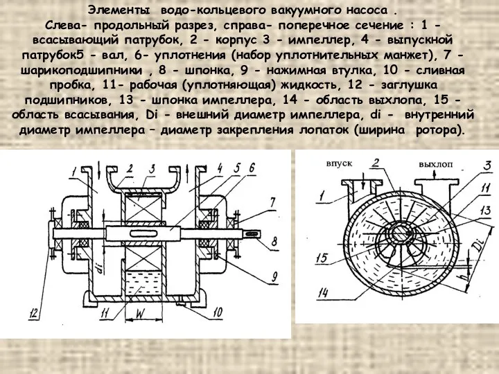 Элементы водо-кольцевого вакуумного насоса . Слева- продольный разрез, справа- поперечное сечение