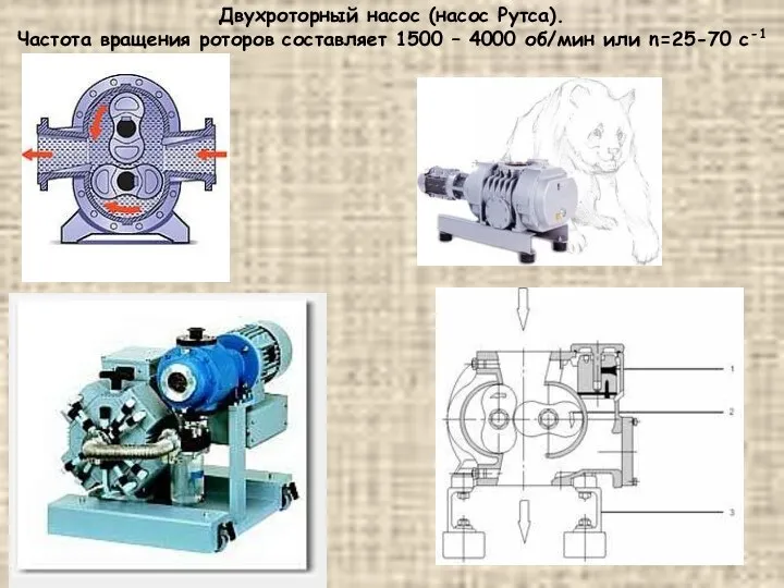 Двухроторный насос (насос Рутса). Частота вращения роторов составляет 1500 – 4000 об/мин или n=25-70 с-1