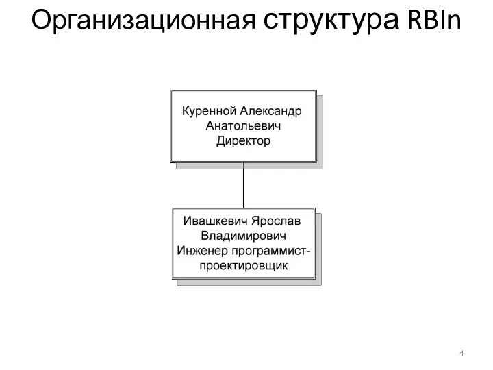 Организационная структура RBIn