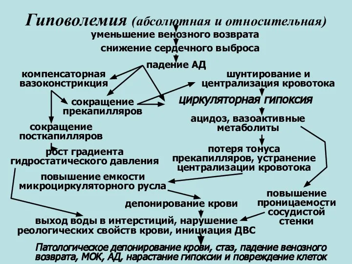 Гиповолемия (абсолютная и относительная) уменьшение венозного возврата снижение сердечного выброса падение