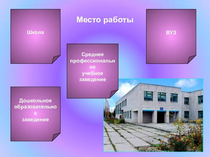 Место работы Среднее профессиональное учебное заведение ВУЗ Дошкольное образовательное заведение Школа