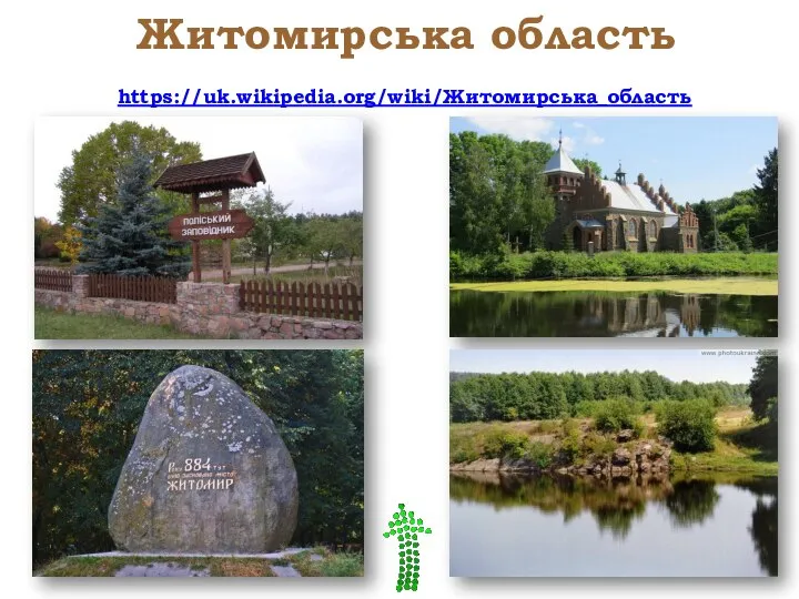 Житомирська область https://uk.wikipedia.org/wiki/Житомирська_область