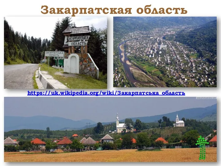 Закарпатская область https://uk.wikipedia.org/wiki/Закарпатська_область