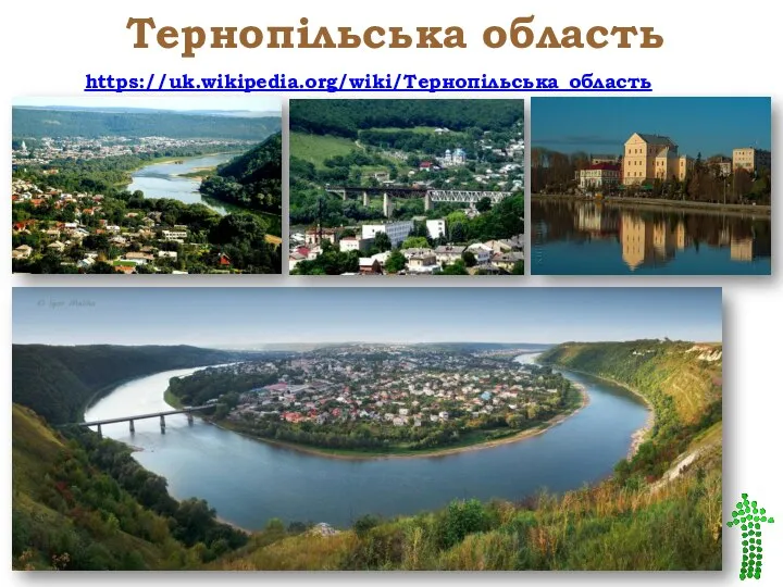 Тернопільська область https://uk.wikipedia.org/wiki/Тернопільська_область