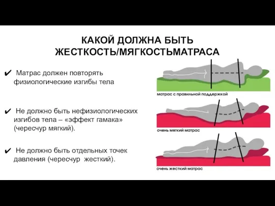 КАКОЙ ДОЛЖНА БЫТЬ ЖЕСТКОСТЬ/МЯГКОСТЬМАТРАСА Матрас должен повторять физиологические изгибы тела Не