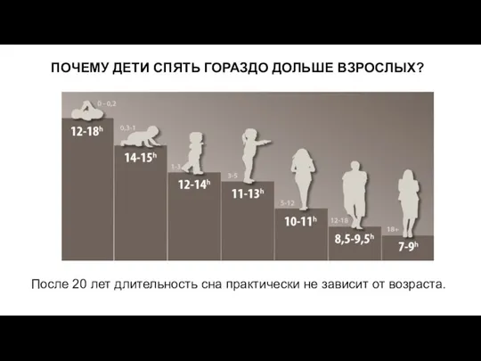 ПОЧЕМУ ДЕТИ СПЯТЬ ГОРАЗДО ДОЛЬШЕ ВЗРОСЛЫХ? После 20 лет длительность сна практически не зависит от возраста.