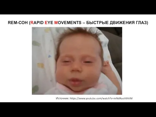 REM-СОН (RAPID EYE MOVEMENTS – БЫСТРЫЕ ДВИЖЕНИЯ ГЛАЗ) Источник: https://www.youtube.com/watch?v=mNdRoeVthVM