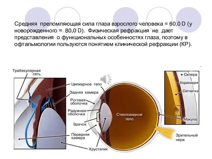 Средняя преломляющая сила глаза взрослого человека = 60,0 D (у новорожденного