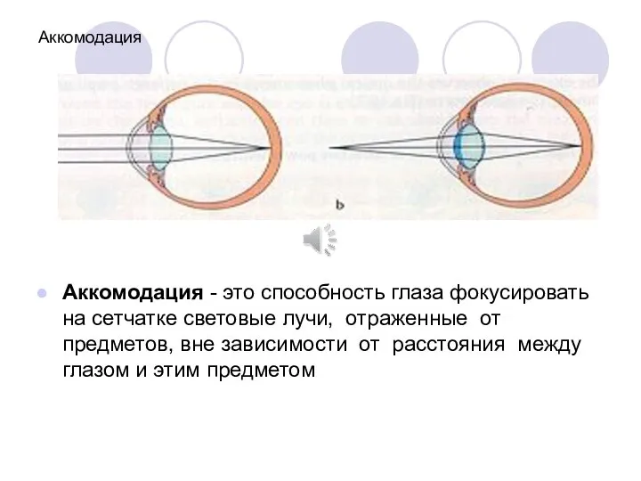 Аккомодация Аккомодация - это способность глаза фокусировать на сетчатке световые лучи,