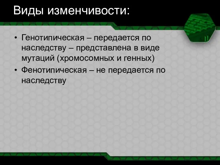 Виды изменчивости: Генотипическая – передается по наследству – представлена в виде