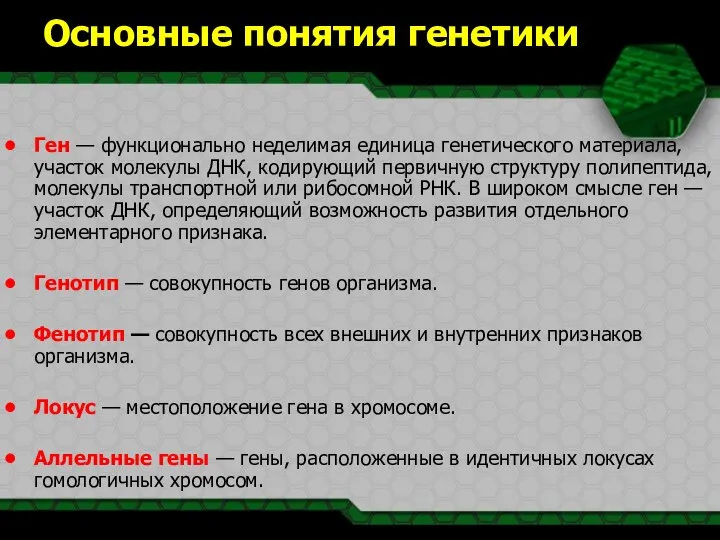 Основные понятия генетики Ген — функционально неделимая единица генетического материала, участок