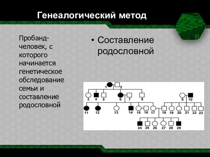 Генеалогический метод Пробанд- человек, с которого начинается генетическое обследование семьи и составление родословной Составление родословной