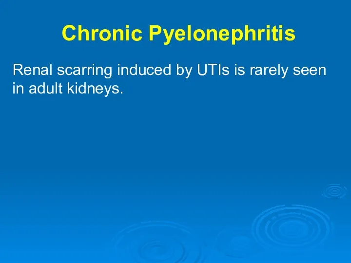 Chronic Pyelonephritis Renal scarring induced by UTIs is rarely seen in adult kidneys.