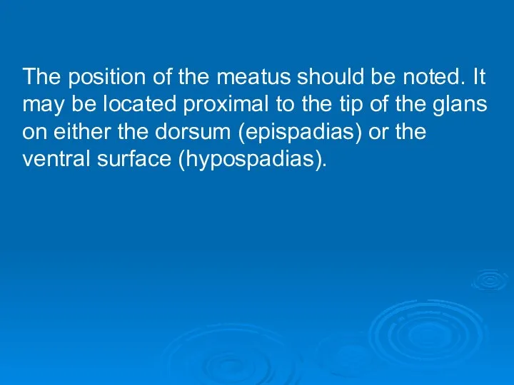 The position of the meatus should be noted. It may be