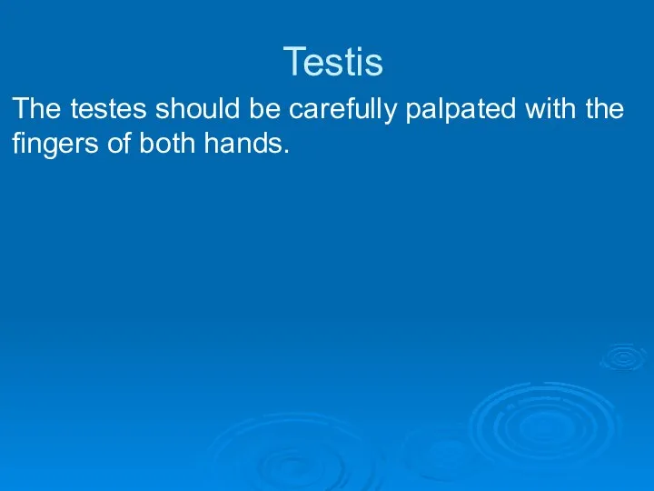 Testis The testes should be carefully palpated with the fingers of both hands.