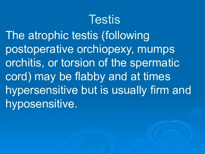 Testis The atrophic testis (following postoperative orchiopexy, mumps orchitis, or torsion