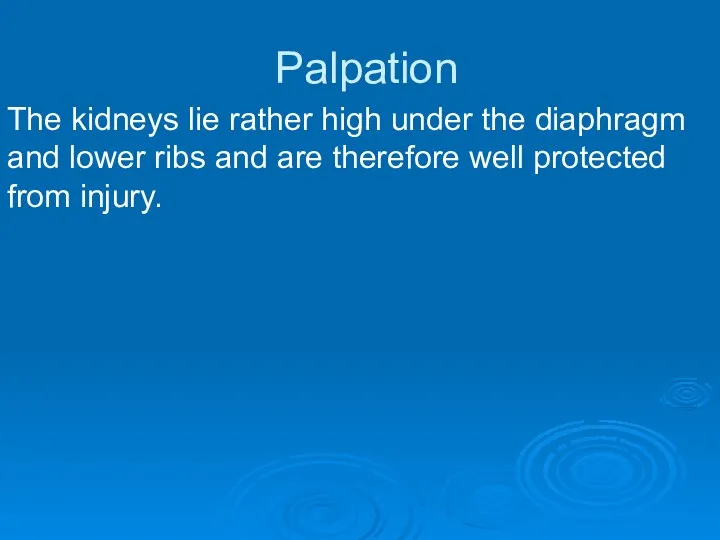 Palpation The kidneys lie rather high under the diaphragm and lower