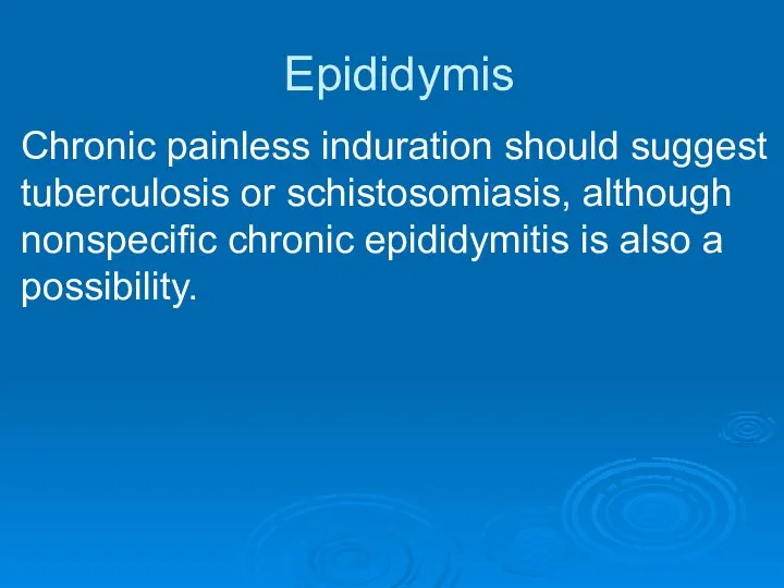 Epididymis Chronic painless induration should suggest tuberculosis or schistosomiasis, although nonspecific