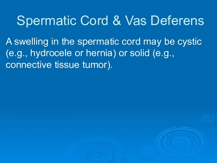 Spermatic Cord & Vas Deferens A swelling in the spermatic cord