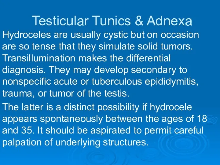 Testicular Tunics & Adnexa Hydroceles are usually cystic but on occasion