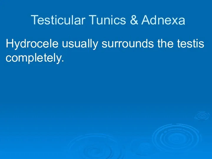 Testicular Tunics & Adnexa Hydrocele usually surrounds the testis completely.