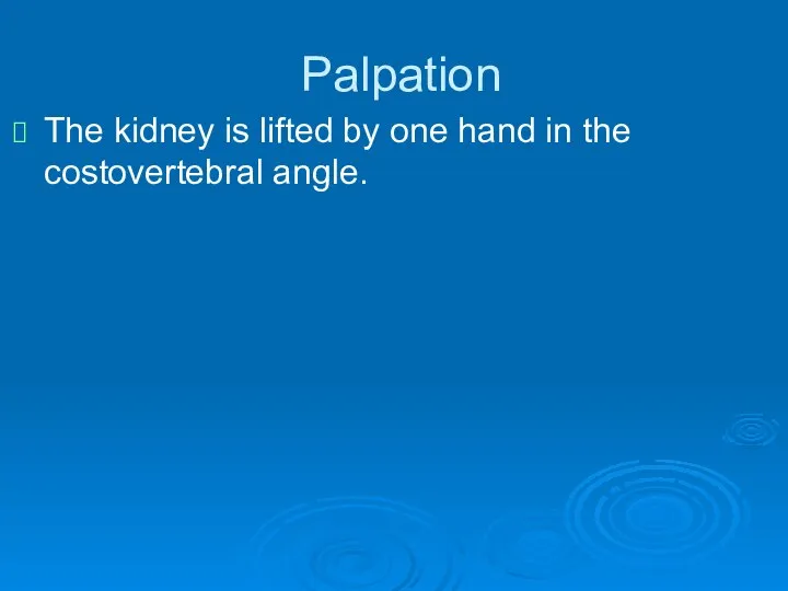 Palpation The kidney is lifted by one hand in the costovertebral angle.