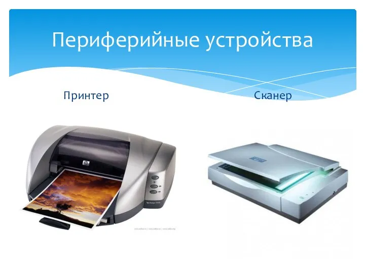 Периферийные устройства Принтер Сканер