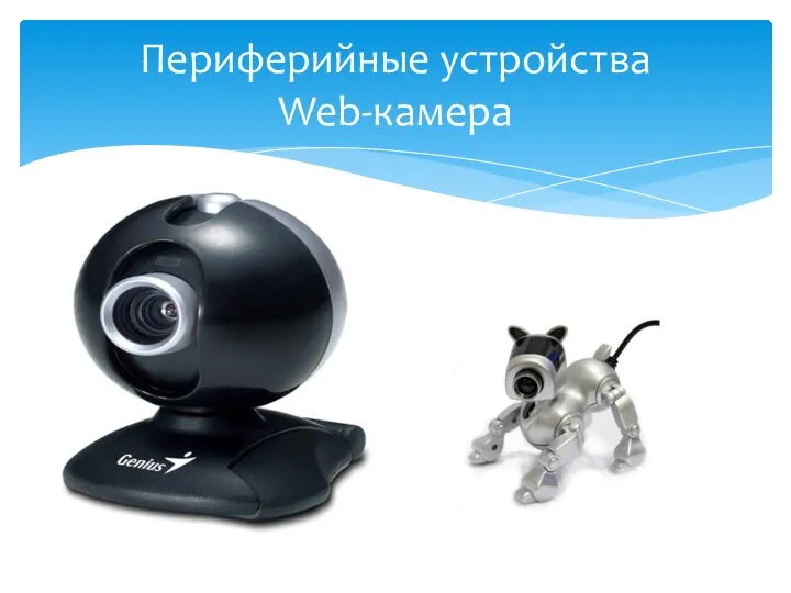 Периферийные устройства Web-камера