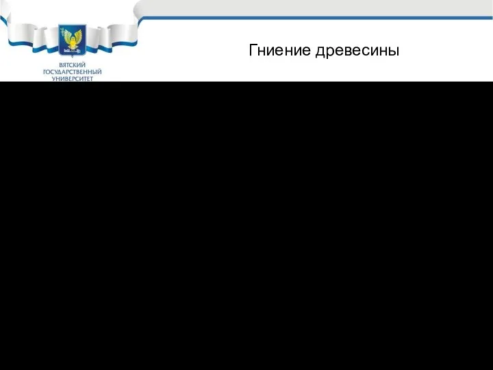 Гниение древесины Протекает в 2 этапа: Осахаривание древесины С6 Н10 О5