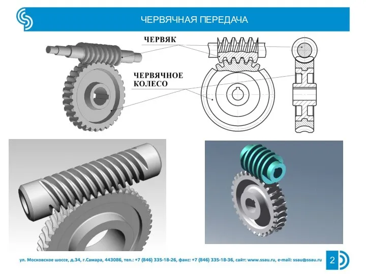 ЧЕРВЯЧНАЯ ПЕРЕДАЧА