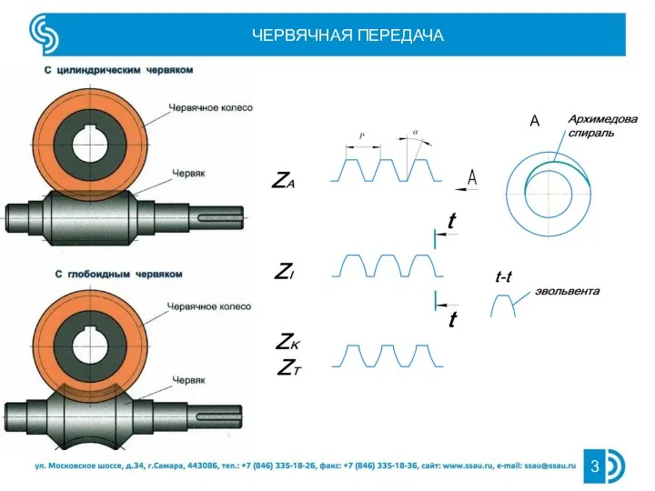 ЧЕРВЯЧНАЯ ПЕРЕДАЧА