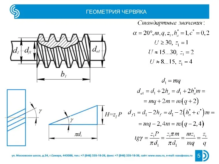 ГЕОМЕТРИЯ ЧЕРВЯКА