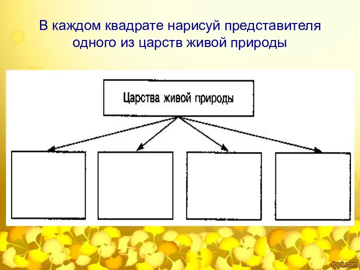 В каждом квадрате нарисуй представителя одного из царств живой природы