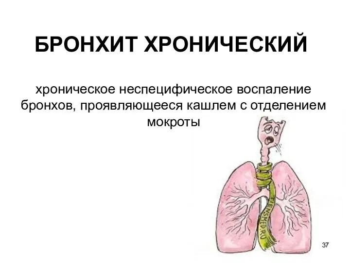 БРОНХИТ ХРОНИЧЕСКИЙ хроническое неспецифическое воспаление бронхов, проявляющееся кашлем с отделением мокроты