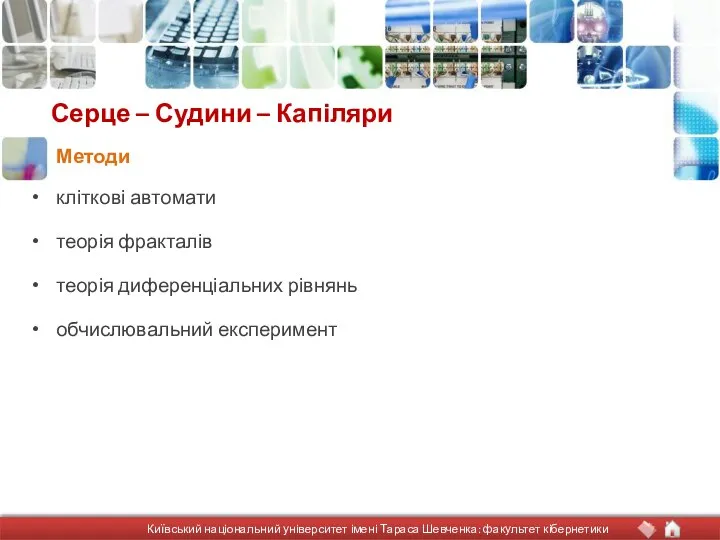 Серце – Судини – Капіляри кліткові автомати теорія фракталів теорія диференціальних