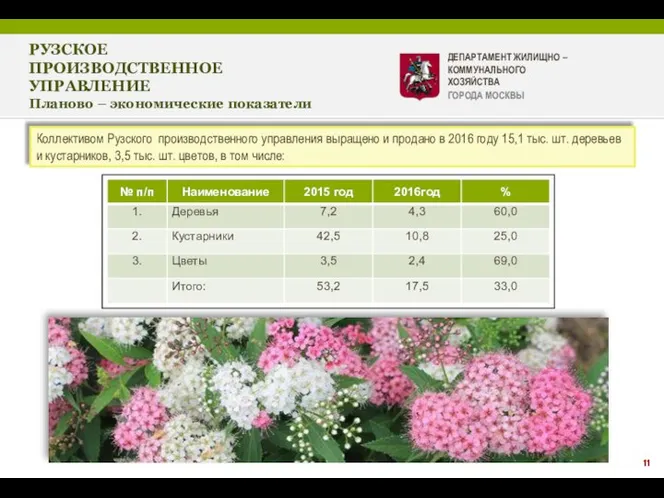 11 Коллективом Рузского производственного управления выращено и продано в 2016 году