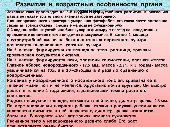 Закладка глаз происходит на 3-й неделе внутриутробного развития. К рождению развитие