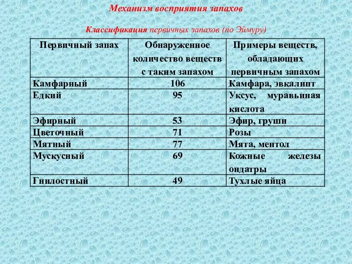 Механизм восприятия запахов Классификация первичных запахов (по Эймуру)