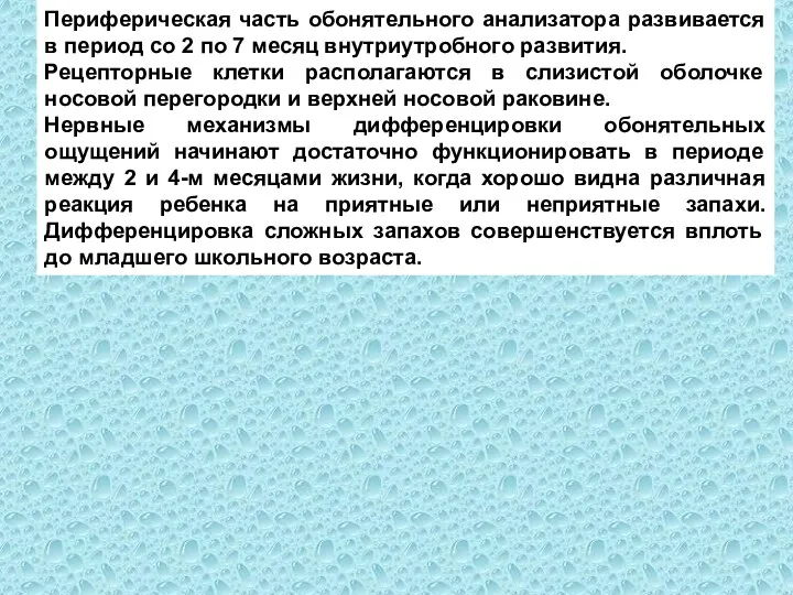 Периферическая часть обонятельного анализатора развивается в период со 2 по 7