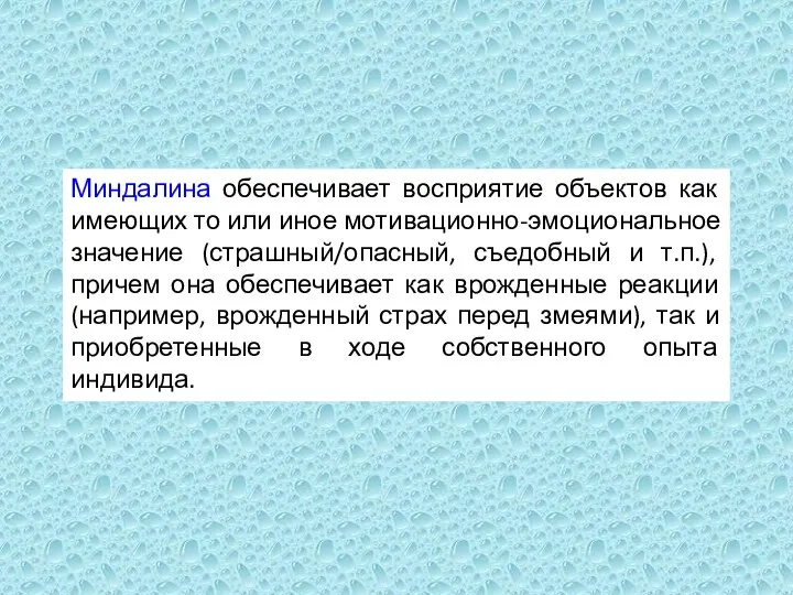 Миндалина обеспечивает восприятие объектов как имеющих то или иное мотивационно-эмоциональное значение