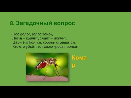 8. Загадочный вопрос Нос долог, голос тонок, Летит – кричит, сядет