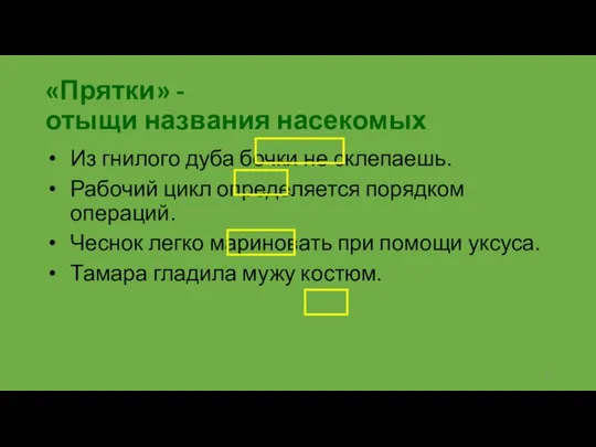 «Прятки» - отыщи названия насекомых Из гнилого дуба бочки не склепаешь.