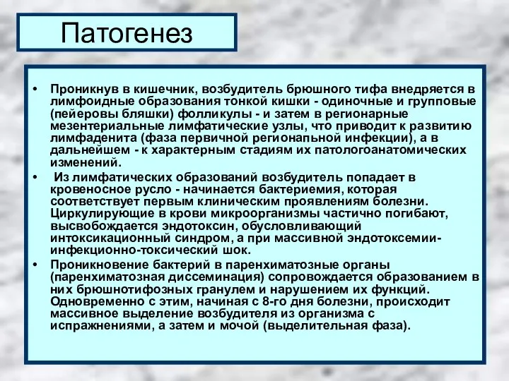 Патогенез Проникнув в кишечник, возбудитель брюшного тифа внедряется в лимфоидные образования