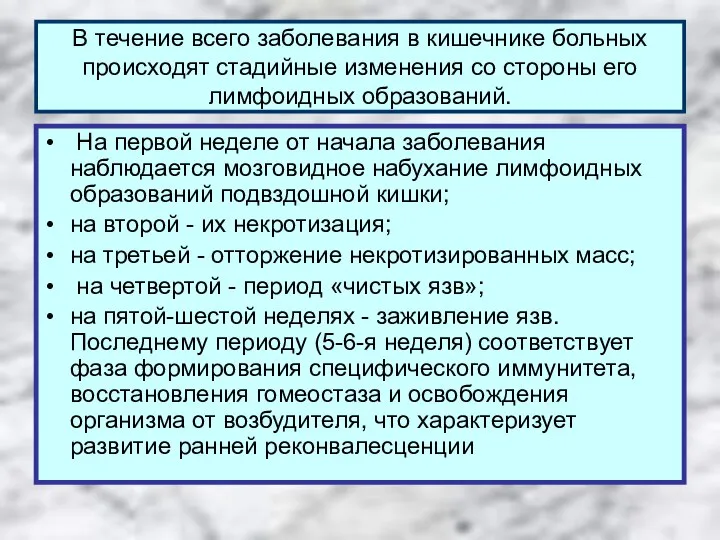 В течение всего заболевания в кишечнике больных происходят стадийные изменения со