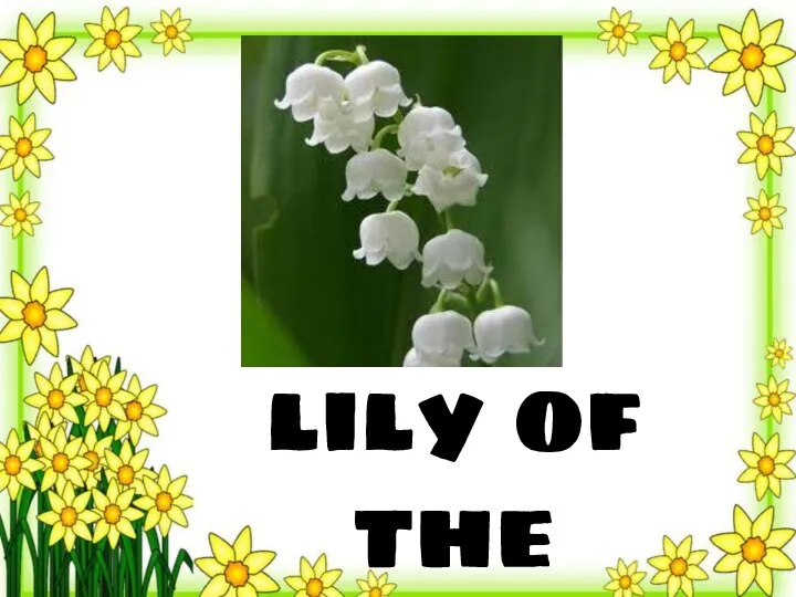 lily of the valley