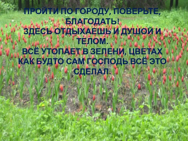 ПРОЙТИ ПО ГОРОДУ, ПОВЕРЬТЕ, БЛАГОДАТЬ! ЗДЕСЬ ОТДЫХАЕШЬ И ДУШОЙ И ТЕЛОМ.